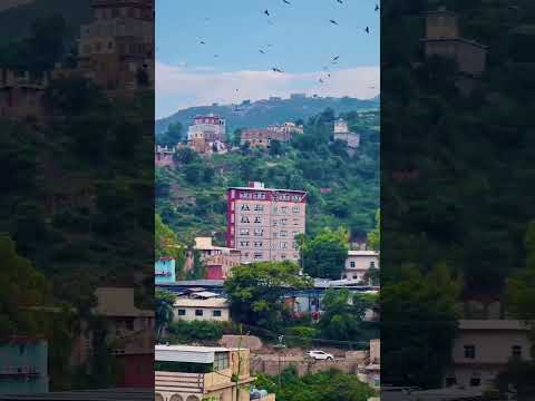 كيف احسبك اووووة حد منكم شاف بيتهم هنا 