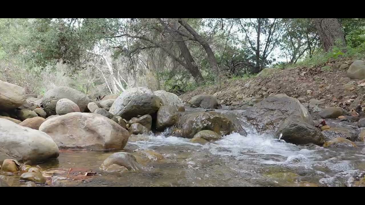 4K Creek Meditation: 3 Hours of Relaxing Water Sounds