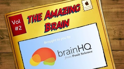 The Amazing Brain, Volume 2: Physical Exercise and the Brain