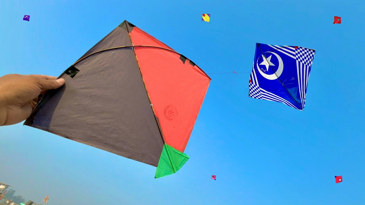 Caught kites 😱 | Kite looting new video | Kite catching | Kite