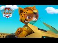 Kocia paczka i Psi Patrol Ratują Rakietę! - Psi Patrol PAW Patrol po polsku