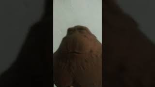 meu boneco destrutivel 2 #macaco #cute