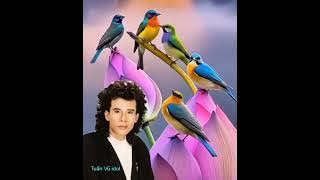 Thương Quá Việt Nam - Tuấn Vũ