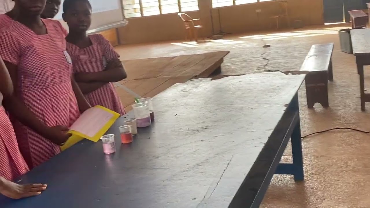 Hibiscus 🌺 flower juice as acid-base indicator 