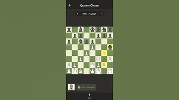 Chess.com Daily puzzle 11/11/2024