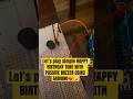 Happy Birthday tune usng a passive buzzer and arduino 🔥 #shorts #ytshorts #viral #happybirthday