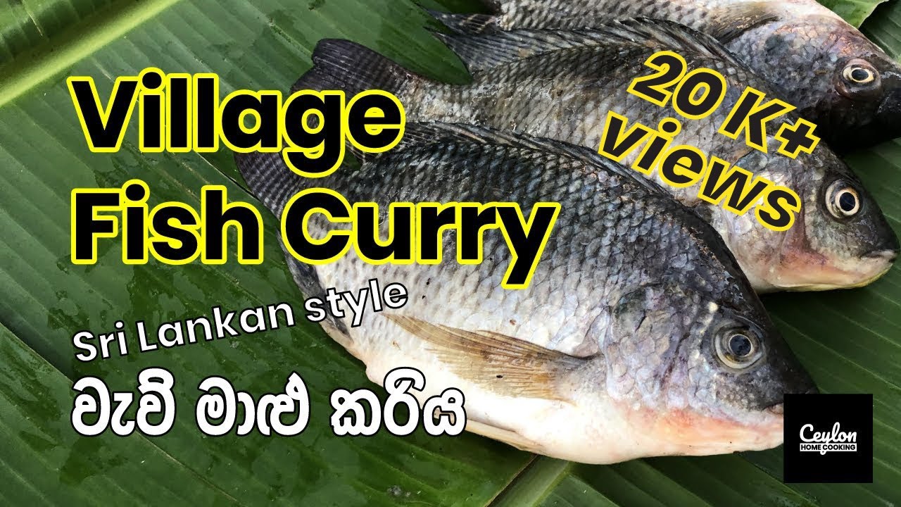 Village Fish Curry |  Sri Lankan Style  |  වැව් මාළු කරිය |  Fish Curry  |  Ceylon home cooking