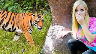 Extreme Hide and Seek in a ZOO!
