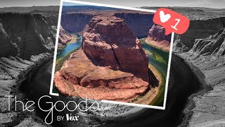 What happens when nature goes viral? What happens when nature goes viral?