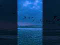 Copy of annsundip_reel_10_14_2023_6_48_35 PM3213417203960304255.mp4