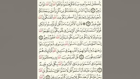ماهر المعيقلي سورة الحجرات مكتوبة من الآية 1 صفحة 515 إلي الآية 18 صفحة 517