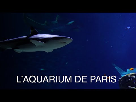 L&#039;Aquarium de Paris en image