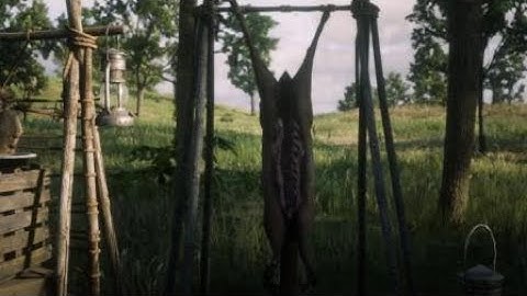 Red Dead Redemption 2 Trader Delivery Glitch