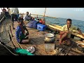 EXTREME OUR SURVIVAL IN THE DEEP SEA | PROFESSIONAL LIFE FISHING & COOKING