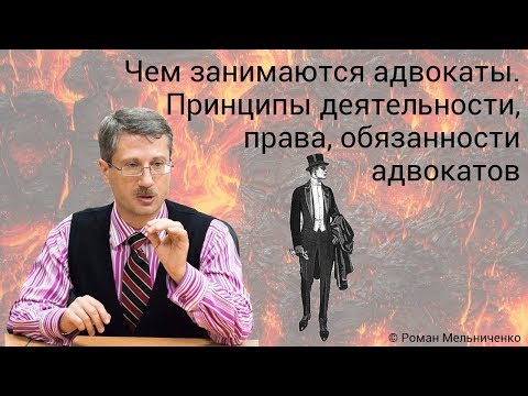 Чем занимаются адвокаты. Принципы деятельности, права, обязанности адвокатов.