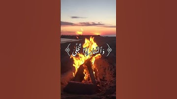 سورة الليل - د/عادل أحمد زكي