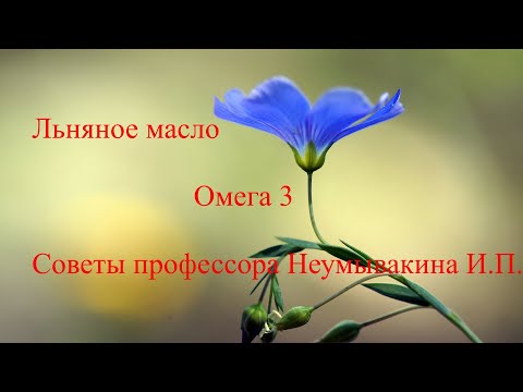 Омега 3 Льняное масло Советы Неумывакина И. П.