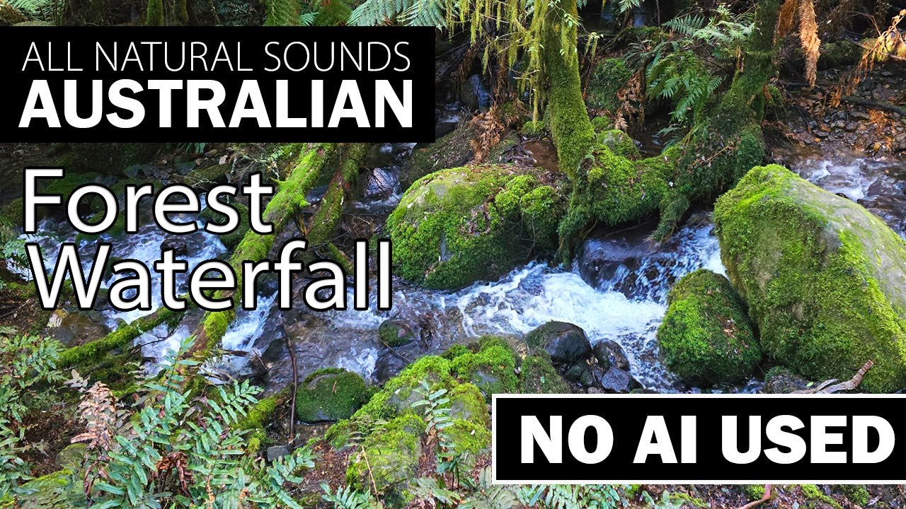 Relaxing, Nature Sounds for Sleeping or Mindfulness - Natural Calm ...