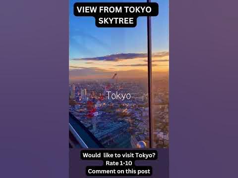 WOULD YOU GO TO THE TOKYO SKYTREE#shorts #japan #tokyoskytree #tokyo #japan #travel #日本#東京スカイトリー