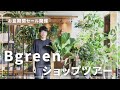 今季最高のラインナップ！観葉植物が大充実のBlossomショップツアー！