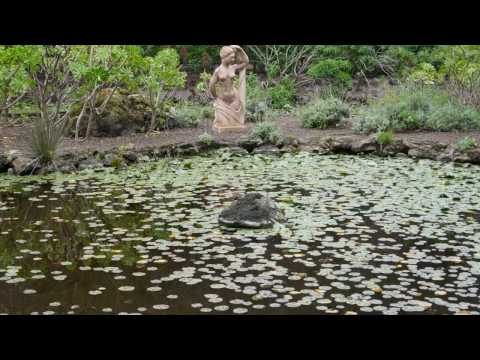 Jardin Canario. Gran Canaria