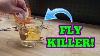 How To DIY Your Own Home Made Fly Trap Solution!