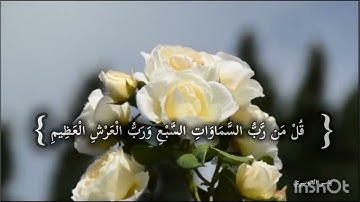 سورة المؤمنون قل لمن الأرض ومن فيها ياسر الدوسري #سورة_المؤمنون #ياسر_الدوسري #القرآن_الكريم