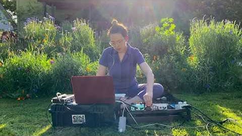 WildFlower (Earth Day 2020 #liveambientimprov feat Morph, M4L/Ableton, field recordings)
