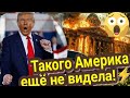 Трамп сошел с ума?😎🔥Так дайте ему селёдки!⚡🔥Таро