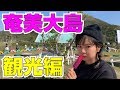 美味しいご飯に大自然、めずらしい生き物たち…奄美大島観光編♪ Delicious Foods,Great Nature,Rare Creatures, in Amami Oshima