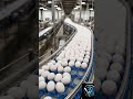 ASMR Egg Factory | From Hen to Market — Egg Factory Full Process
