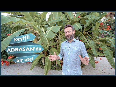 Antalya, Adrasan'da Tatil Yapacaklar Buraya! - Adrasan Arkadaş Otel'de Bir Gün