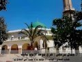 شرح موطأ الإمام مالك كتاب النكاح 11 جامع ما لا يجوز من النكاح ج3 