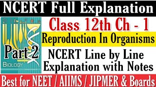 Reproduction in Organisms Class XII NCERT explanation for NEET/AIIMS/JIPMER & Boards Part 2