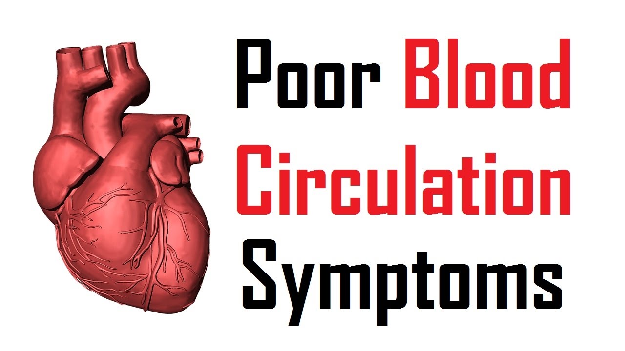 11 Warning Signs Of Poor Blood Circulation Poor Blood Circulation