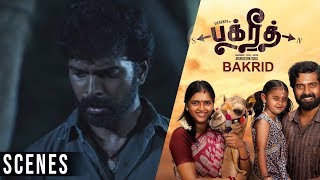 Rescued Camel from Thieves Fight Scene | Bakrid Tamil Movie Scenes | Vikranth, Vasundh