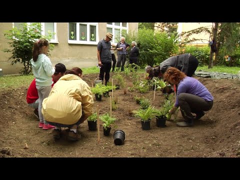 Vidéo: Garden Rain Gauge Project : Comment enseigner aux enfants la pluie dans le jardin