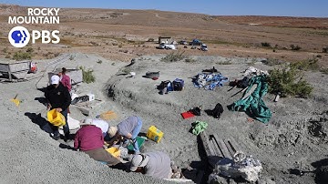 Bones that bond: Women-led paleontology team unearths the power of Earth’s history