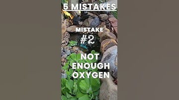 DIY Koi Pond Mistake #2: Limited Oxygen! #watergarden #mistakes #naturelovers