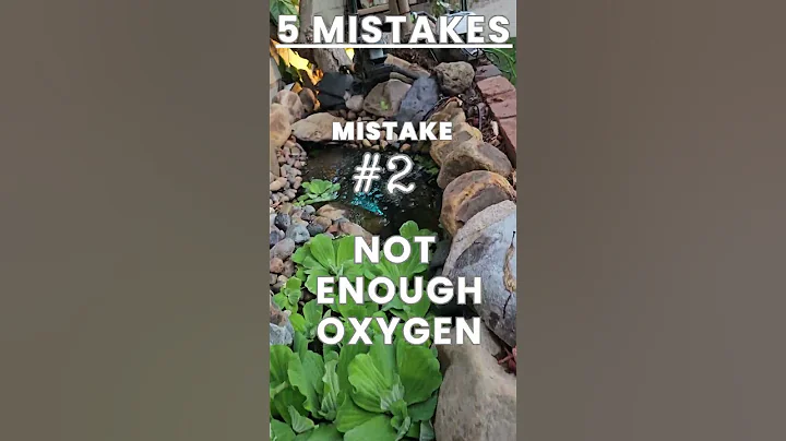 DIY Koi Pond Mistake #2: Limited Oxygen! #watergarden #mistakes #naturelovers
