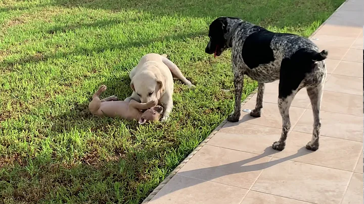 Candy getting to know her Family