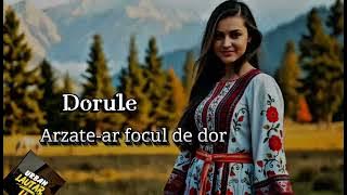 Dorule, arzate-ar focul de dor 2025 (Official Music) cover Liviu Vasilica