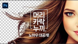 [포토샵 팁] 머리카락 누끼 따기 - Photoshop