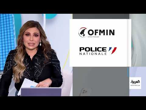 شي إن متهمة ببيع دمى جنسية لطفل.. وأزمة متصاعدة في فرنسا