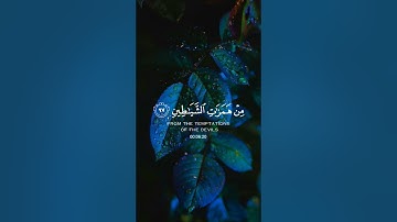 (وقل رب أعوذ بك من همزات الشياطين) القارئ: هيثم الدخين