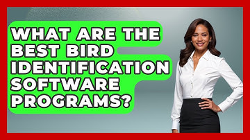 What Are The Best Bird Identification Software Programs? - Bird Watching Diaries