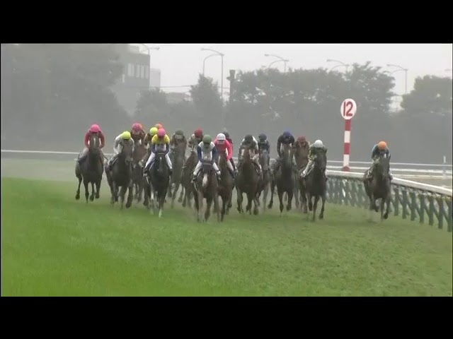 2017.10.29 Tenno Sho (Autumn)(JPN) - Kitasan Black - YouTube