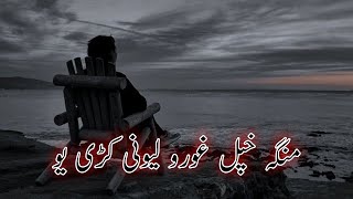 Pashto Ghazal | Munga Ahpal Ghoro Lewani kari  You 