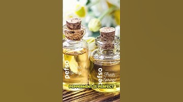Save Up to 4 Times by DIY Reed Diffuser Oils #DIYOils #PEFSO #essenceofhome #essentialoils