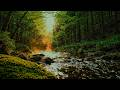 Relaxing River Sounds in Forest 🌿 Peaceful Nature Ambience for Sleep, Study, Healing